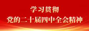 學習貫徹學習貫徹黨的二十屆四中全會精神黨的二十屆四中全會精神